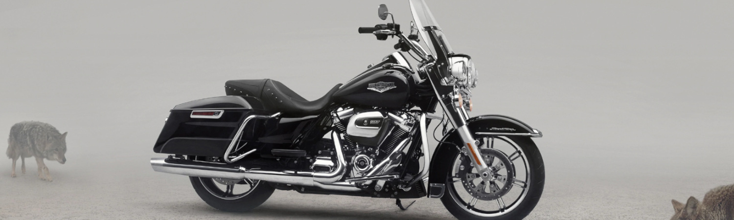 2020 Harley-Davidson® Touring Road King for sale in Emerald City Harley-Davidson®, Lynnwood, Washington